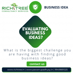 Evaluating Business Ideas